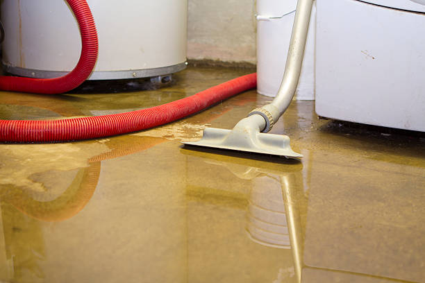 Best Water damage restoration process  in Pomeroy, WA